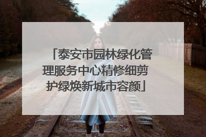 泰安市园林绿化管理服务中心精修细剪护绿焕新城市容颜